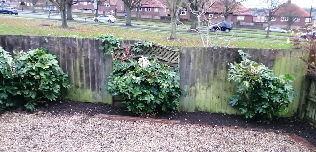 Watson’s Garden Maintenance