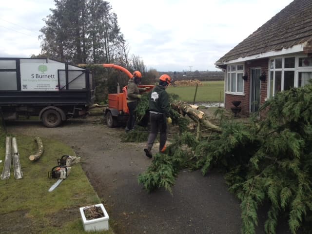 S Burnett Tree Surgery & Forestry Contractors LTD