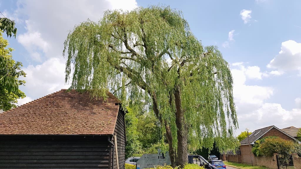 Monet Tree Care Ltd