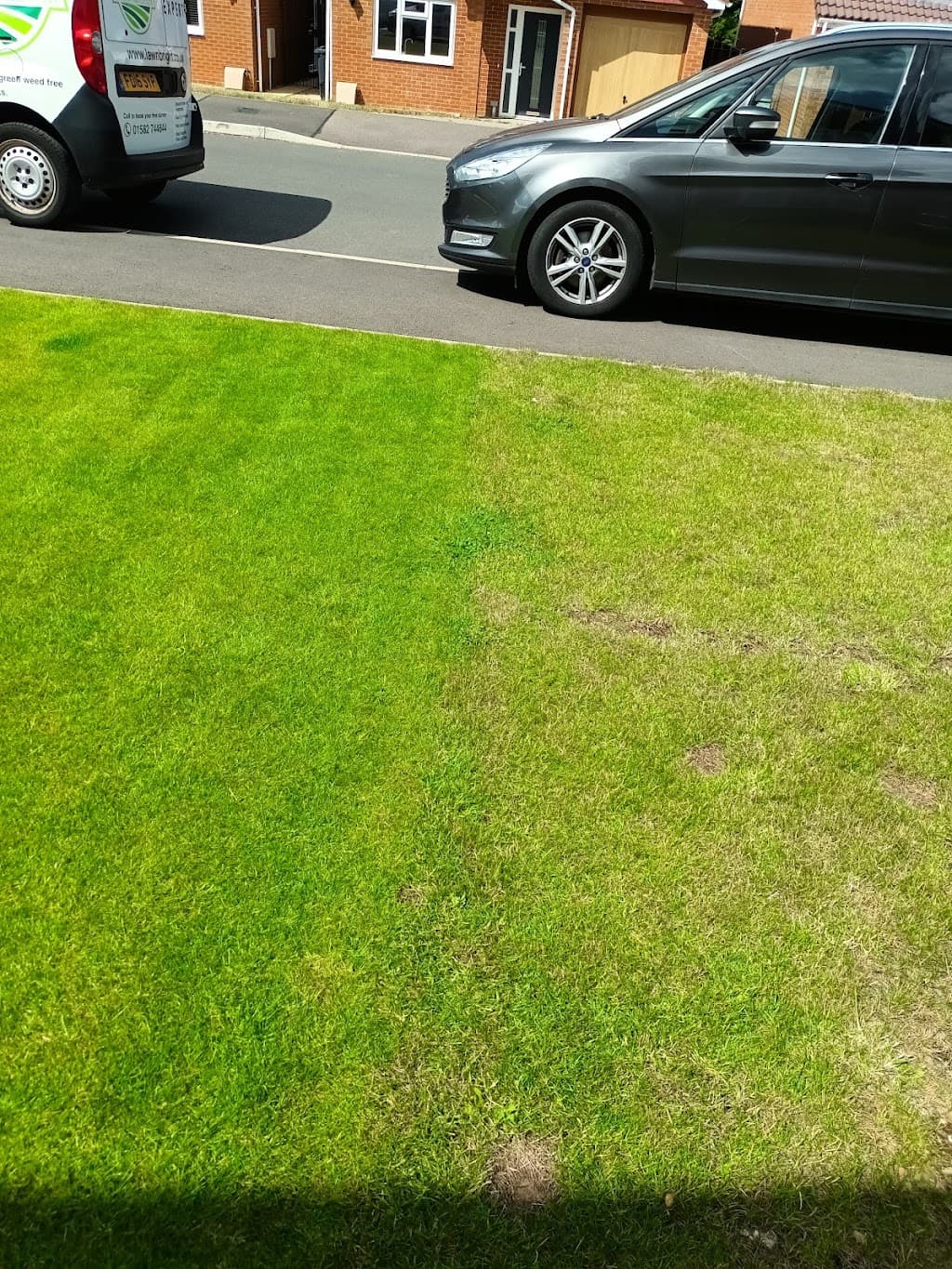 Lawn Bright