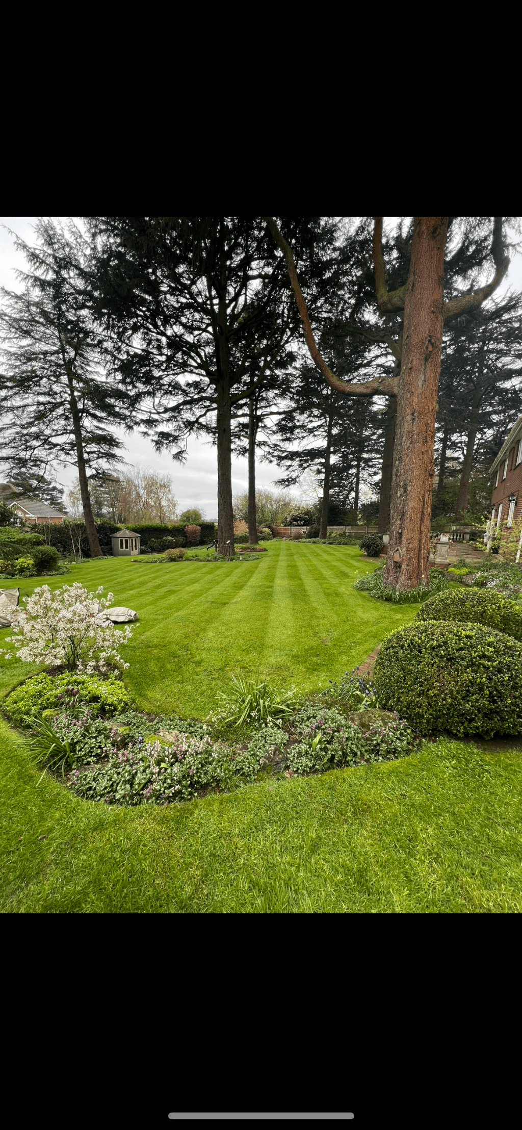 The Gardening Guys Ltd