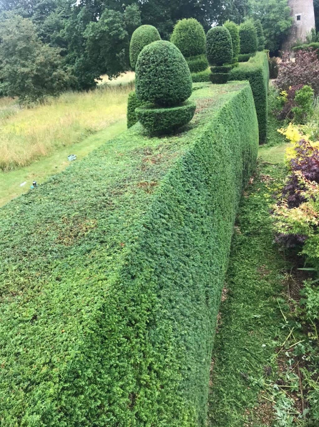 Julian Garden Maintenance