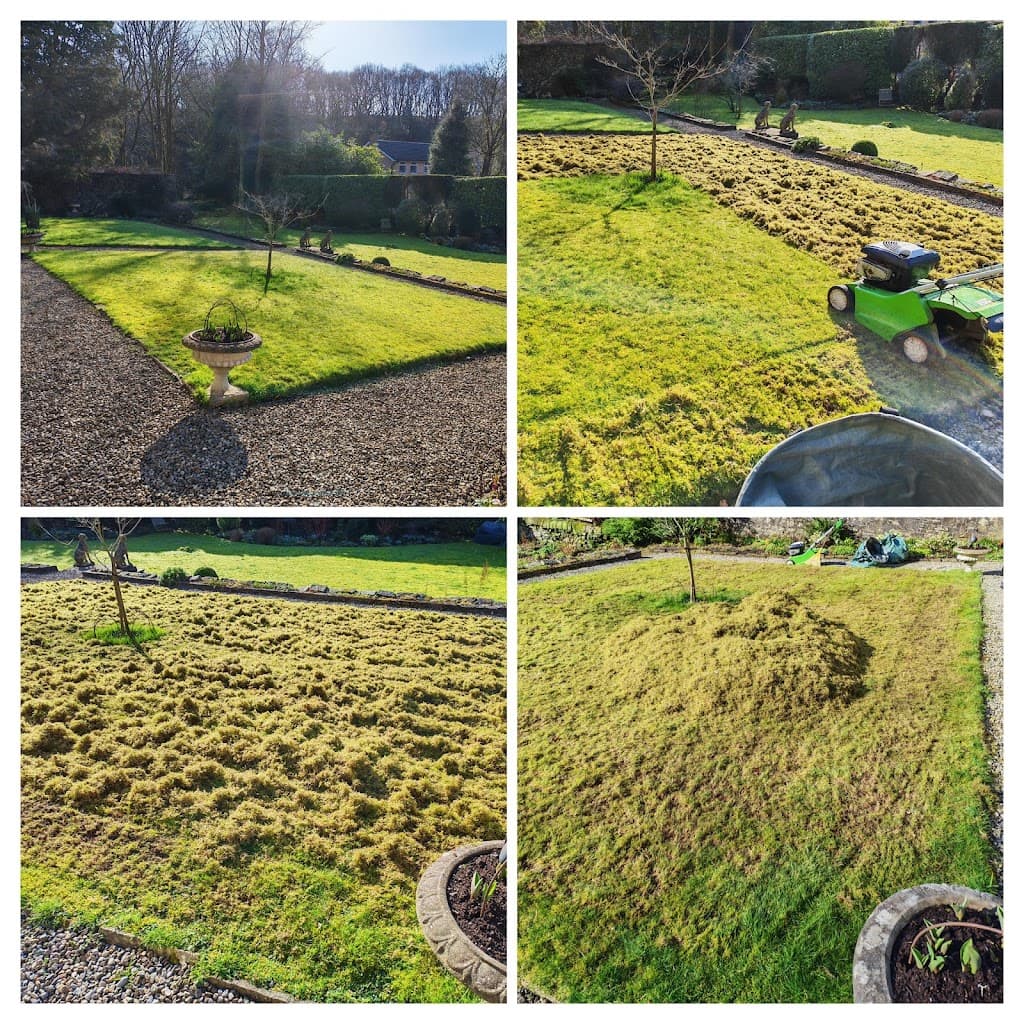 Sykes Tree & Garden Services | Gardener | Tree surgery | Hedge cutting | Ground maintenance