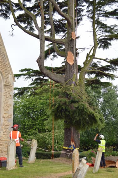 Willow Tree Services Lincs Ltd