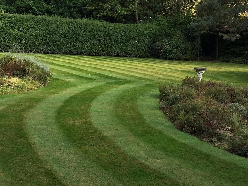 Loftus Landscapes Limited