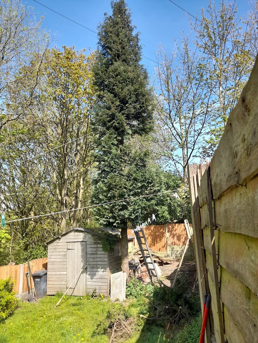 Just Trees UK