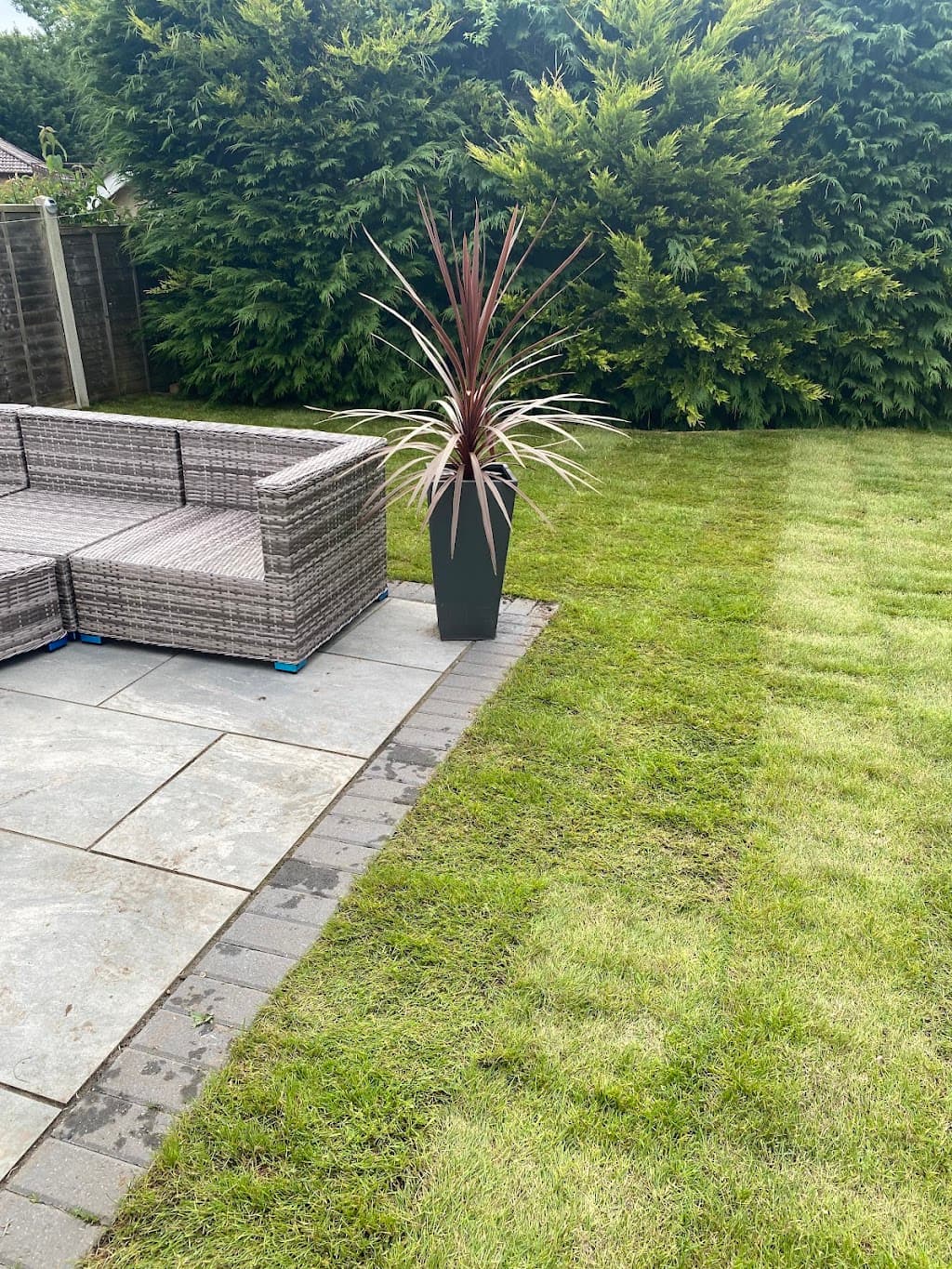 Hedgehog Lawn & Garden