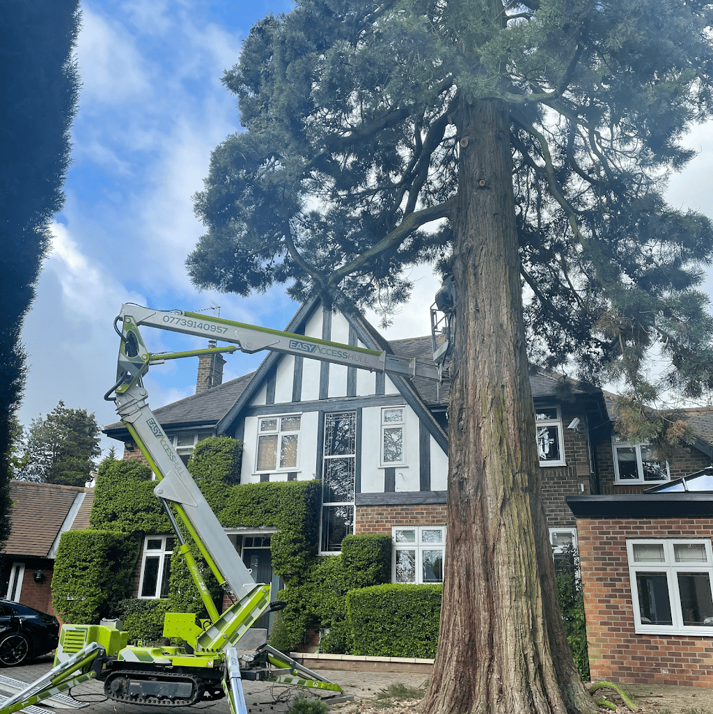 Yorkshire Tree Surgery