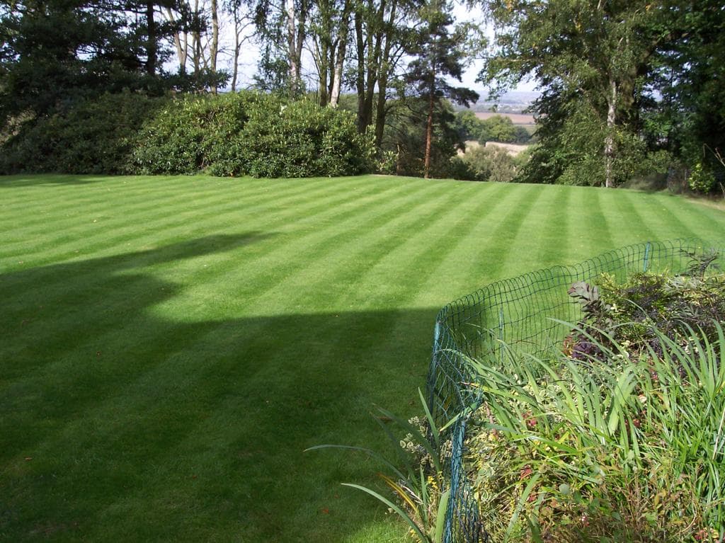 Exquisite Lawn Care