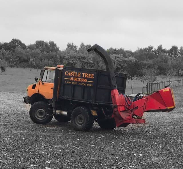 Castle Tree Surgeons