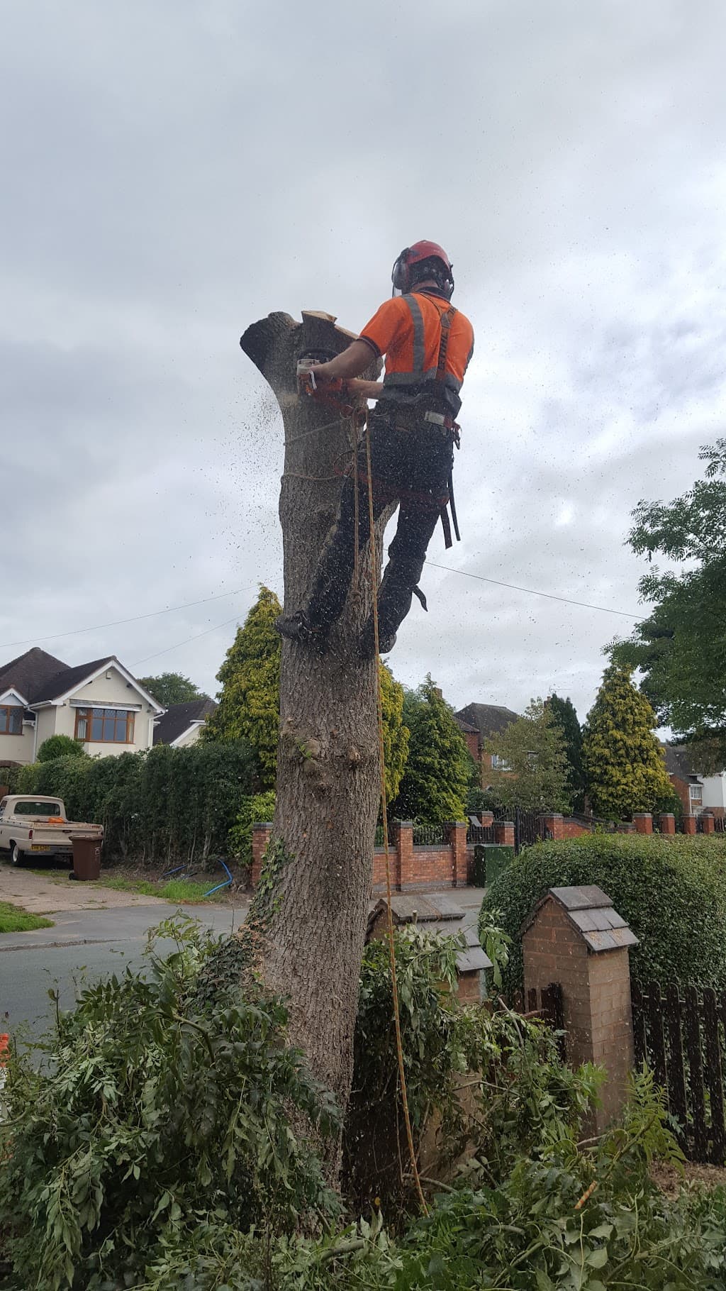 Boningale Tree Services