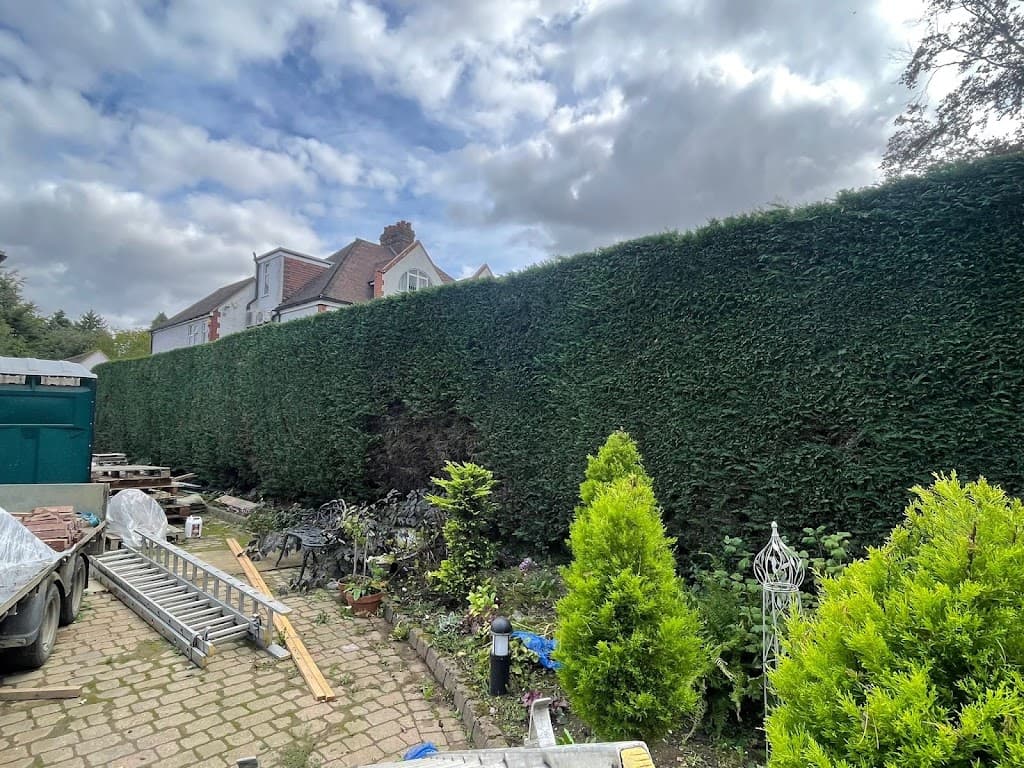D’n’N garden services luton