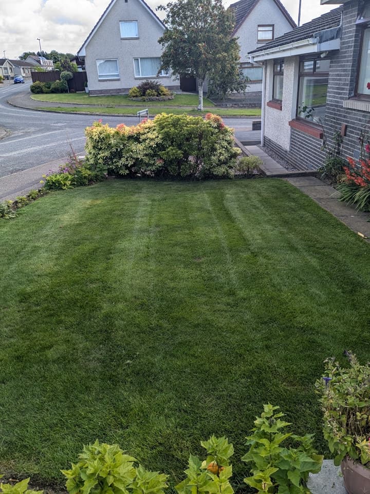 SA Lawn Mowing