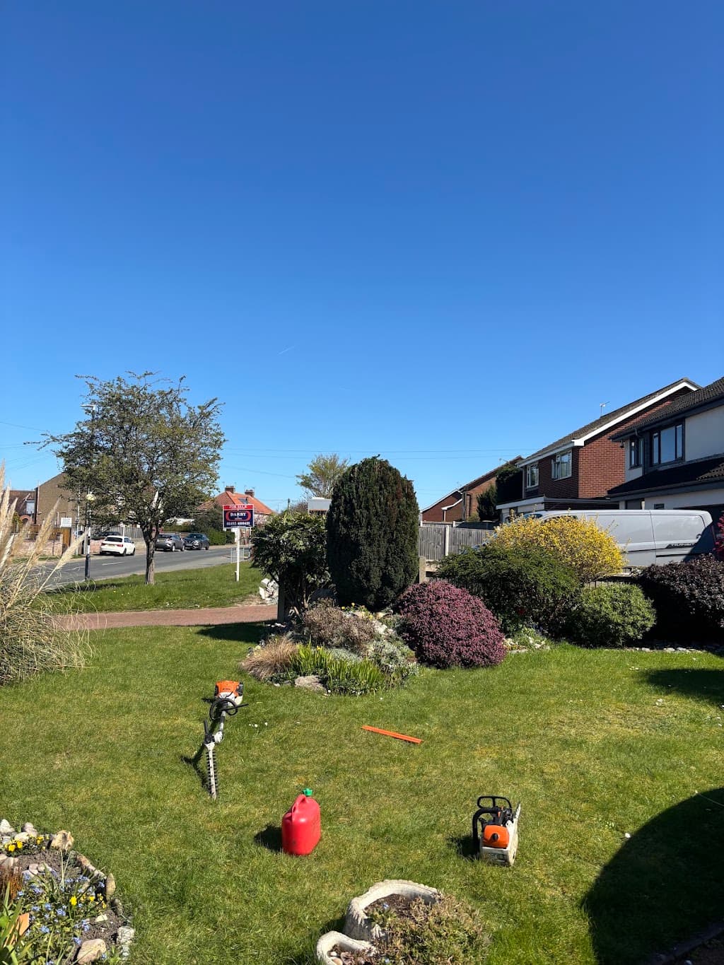 Norfolk tree care