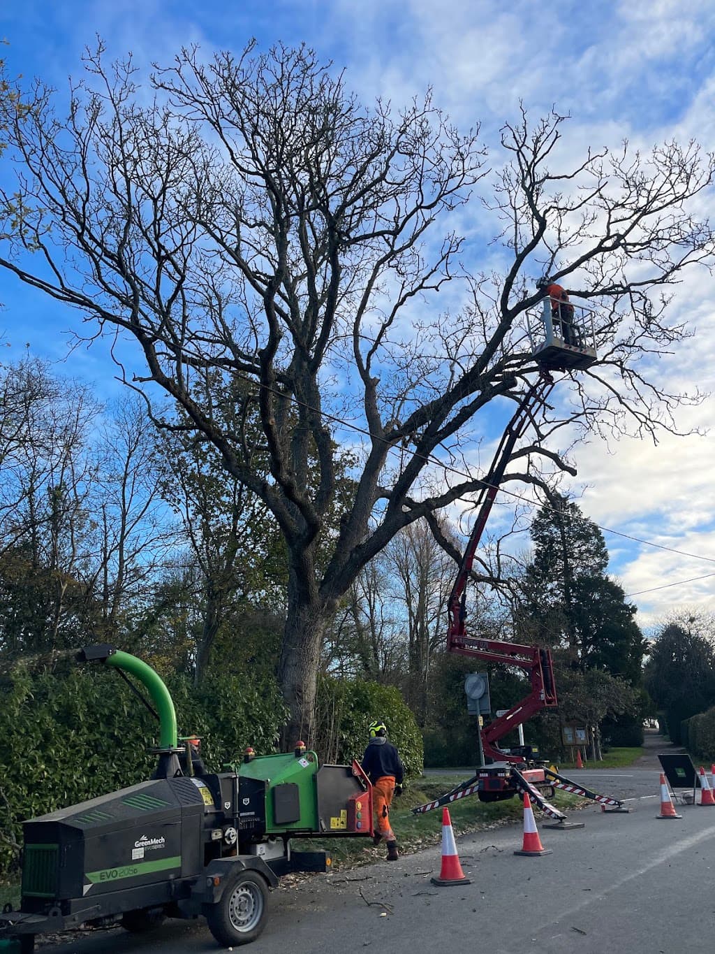 01793 Tree Surgeons LTD