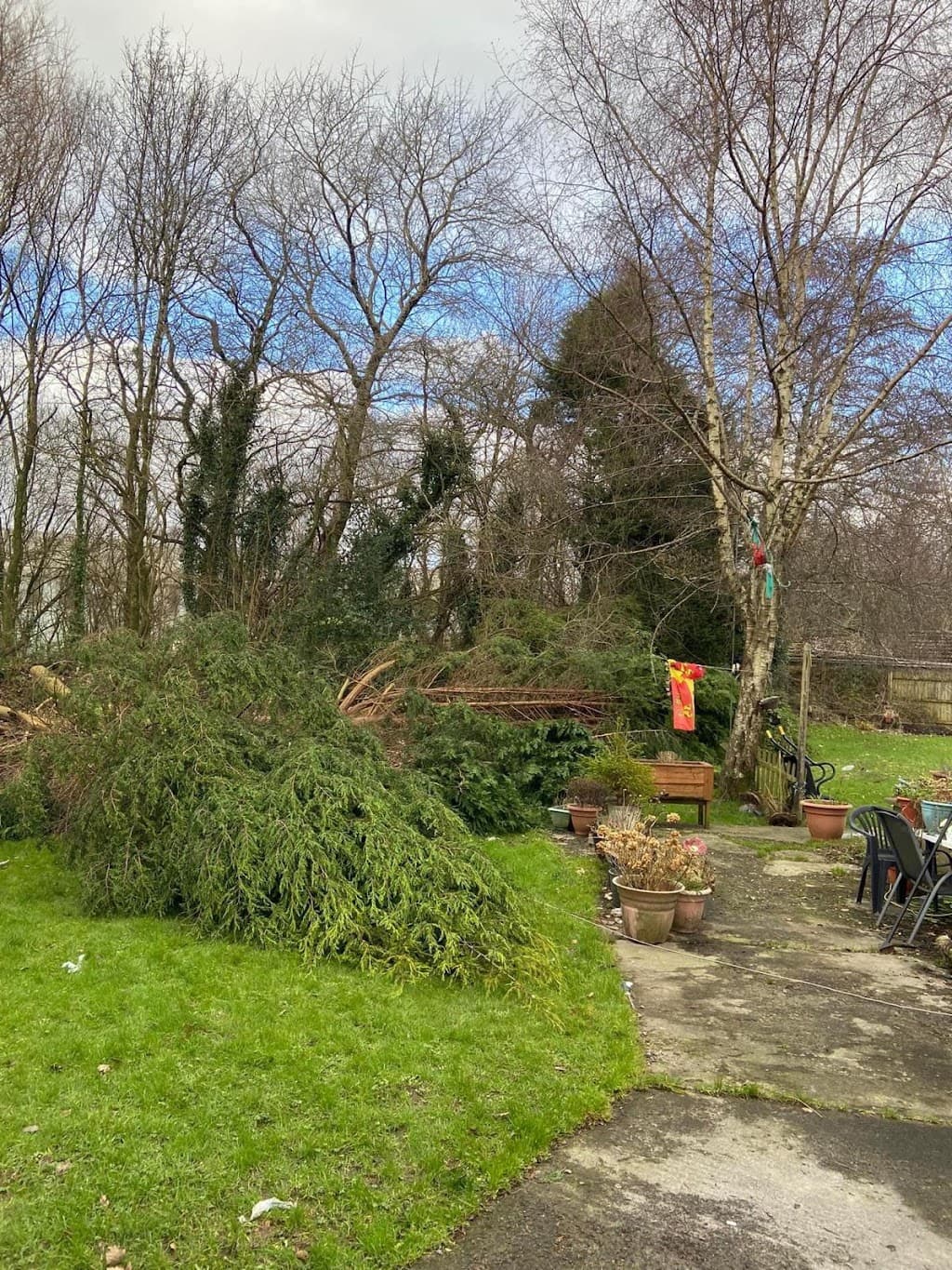 JT Gardening Services Swansea