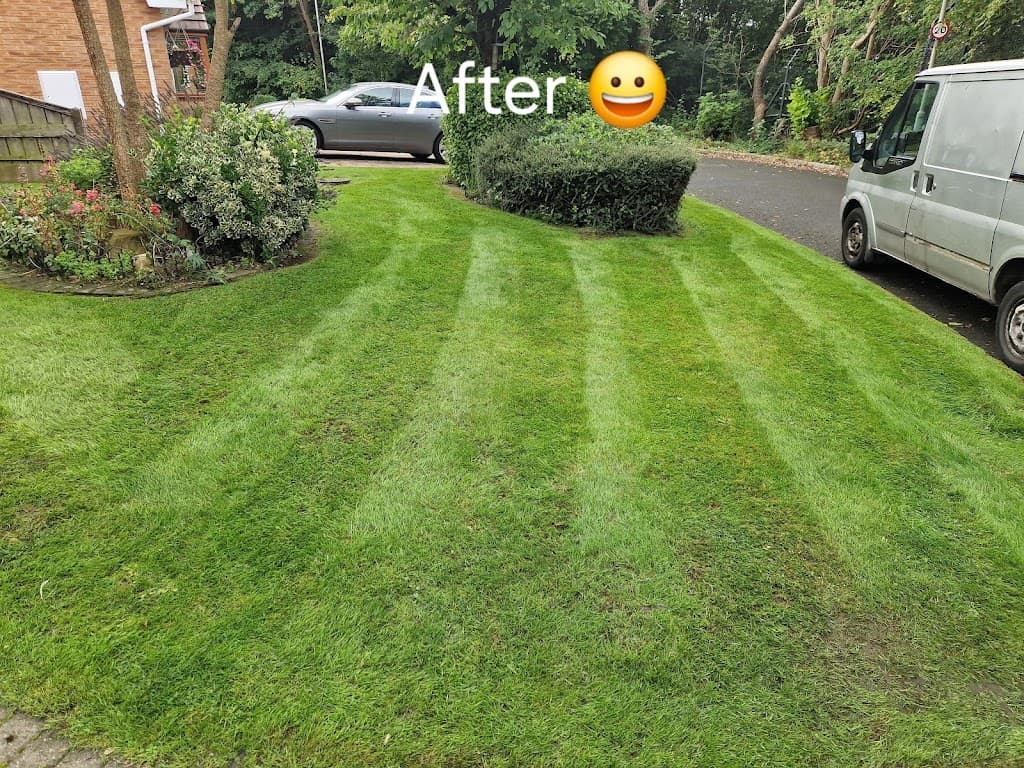 Woods Lawn Treatments