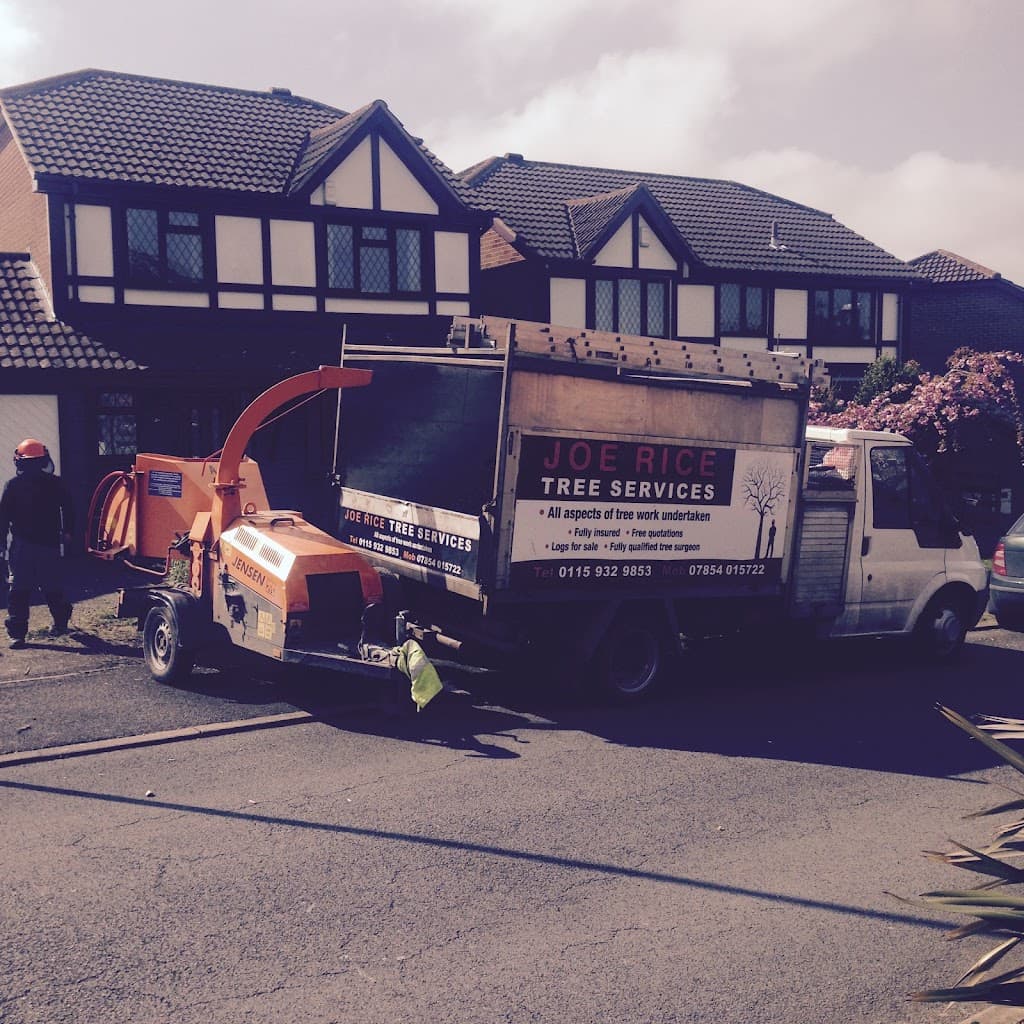 Joe Rice Tree Services