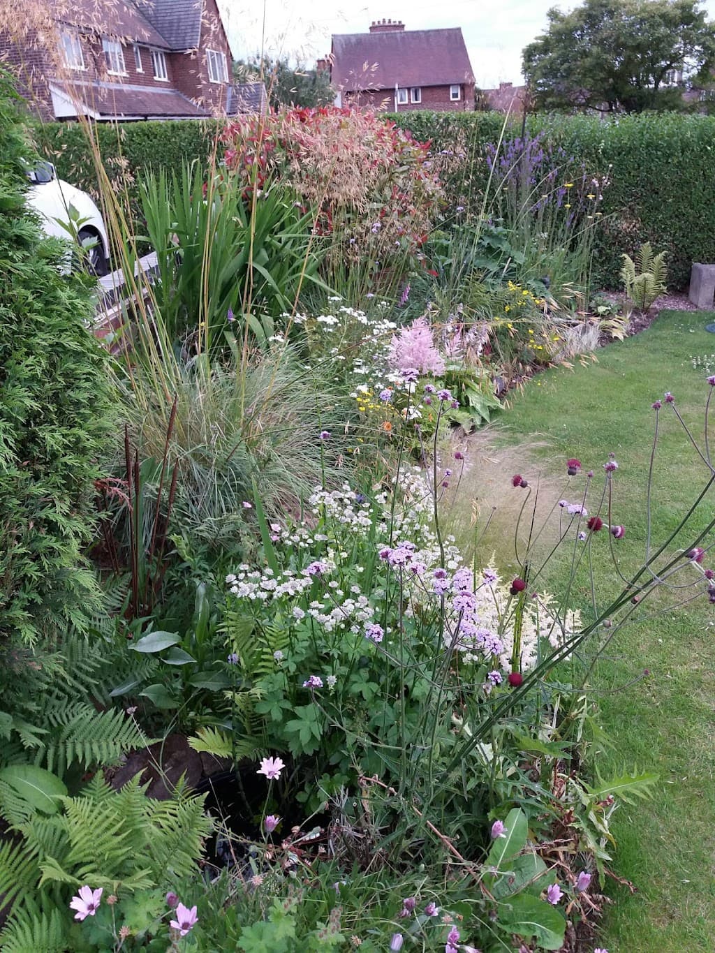Garden Rescue Derby