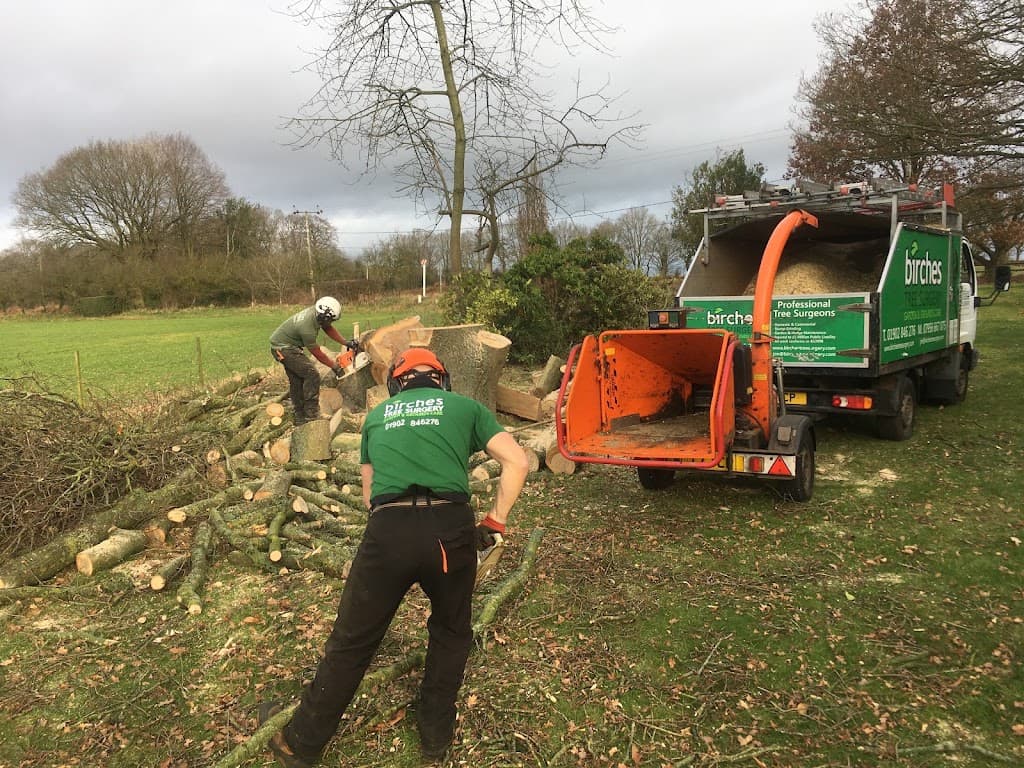 Birches Tree Surgery