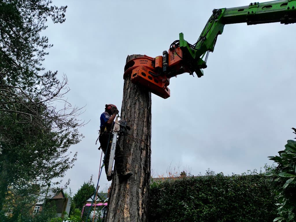 Browns Tree Solutions Ltd