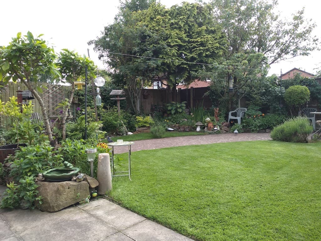 Lawn3 Derby