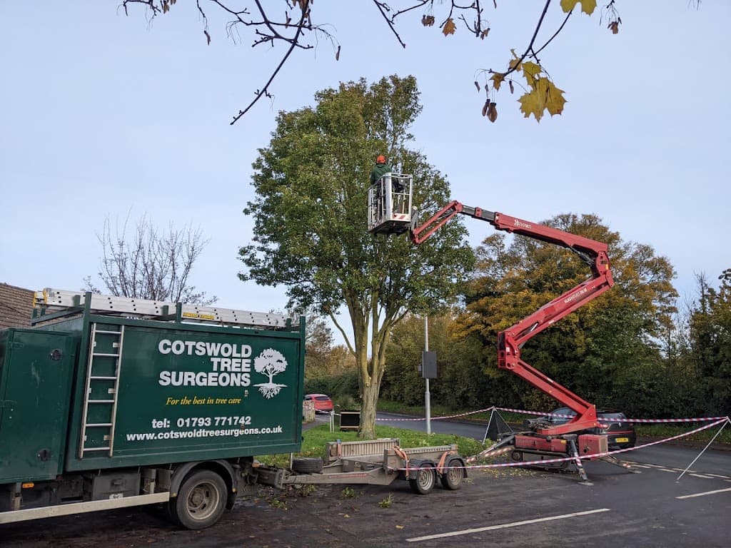 Cotswold Tree Surgeons Ltd