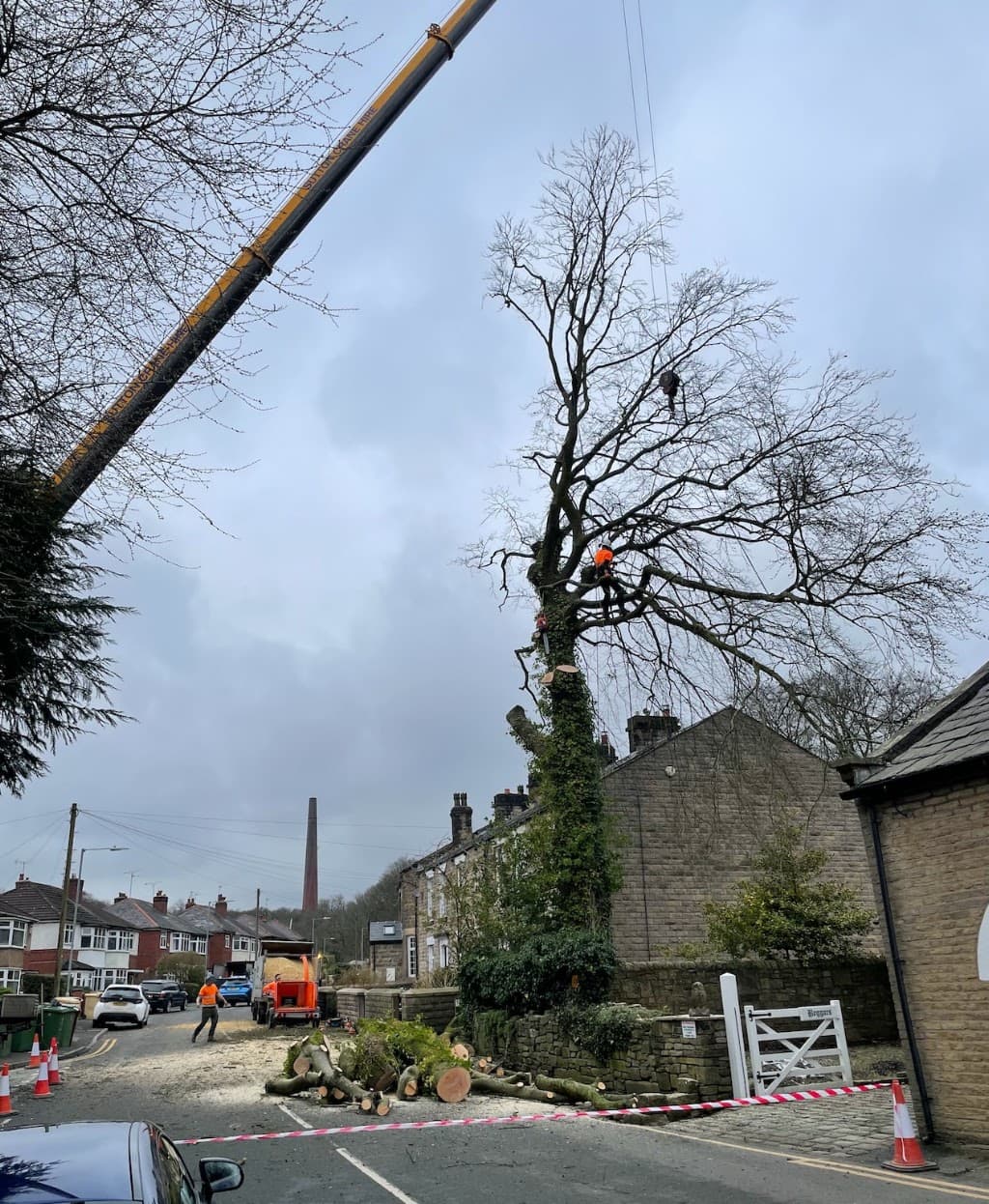 Arbworks Tree Services