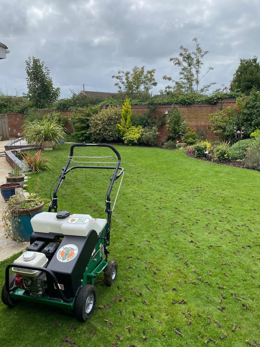 Green Lawn Care