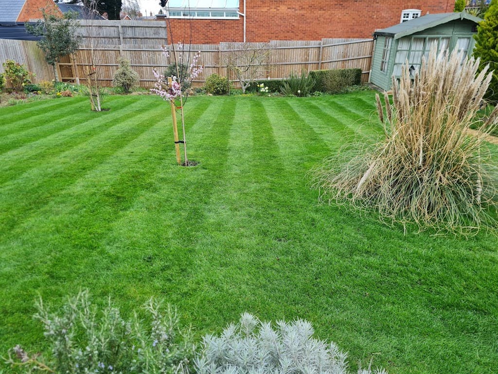 Cherished Lawn Care