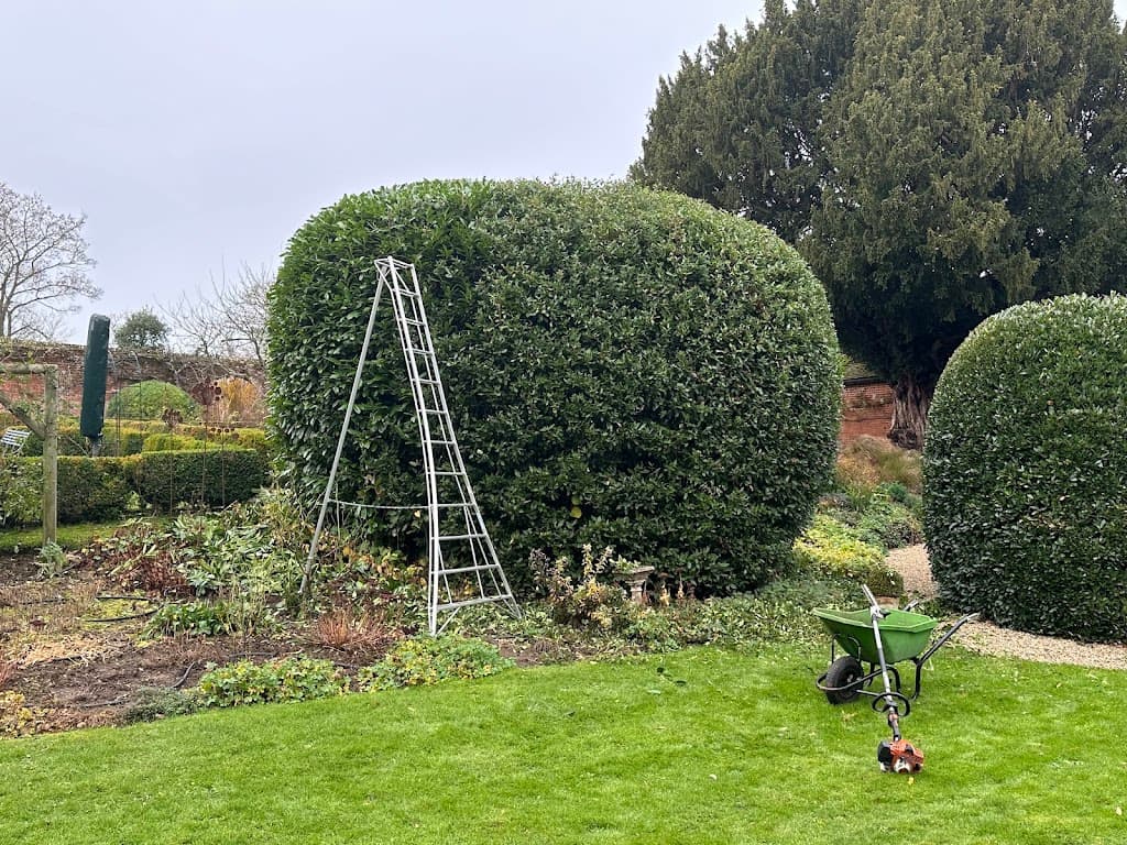 Greenleaf garden services