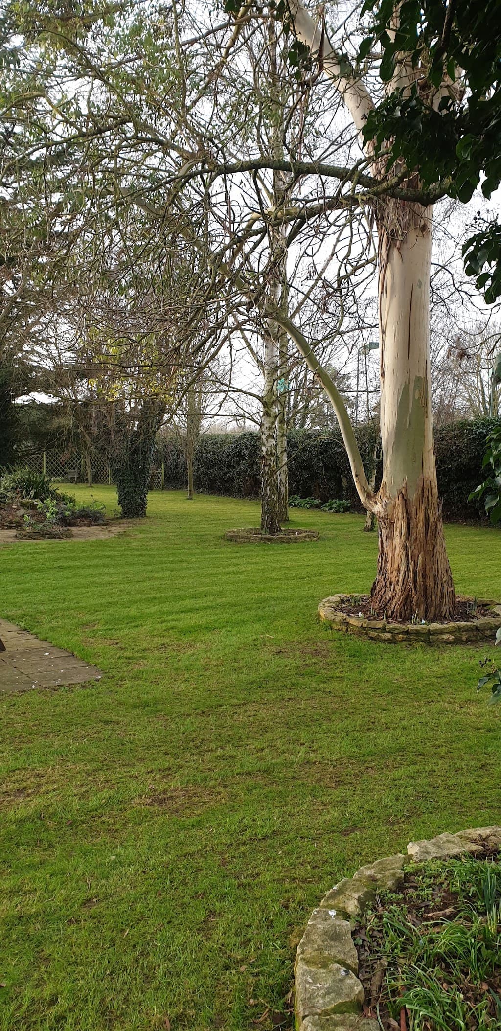 Jarrett's Tree and Garden Services