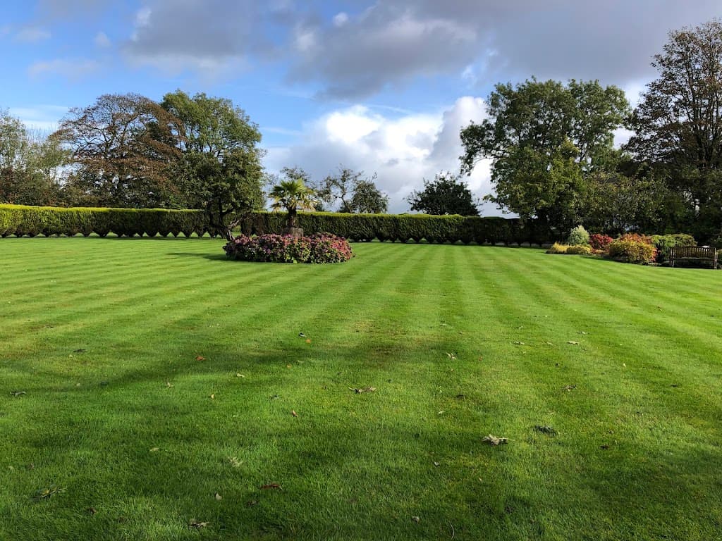 Happy Lawns