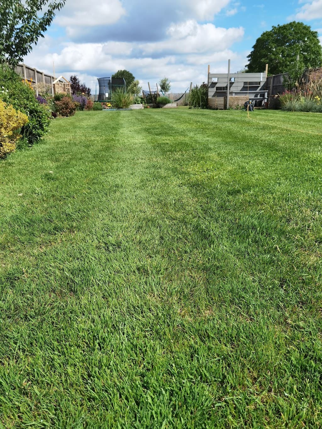 All Green Lawn Treatments