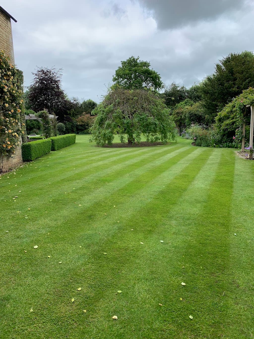 Custom Lawn Care