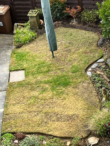 Jackson Landscaping Ltd — Customer photo