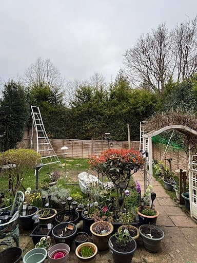 GPB Trees & Landscapes — Customer photo