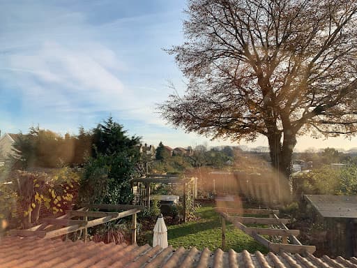 A.Sillett Tree Surgeon Ltd — Customer photo