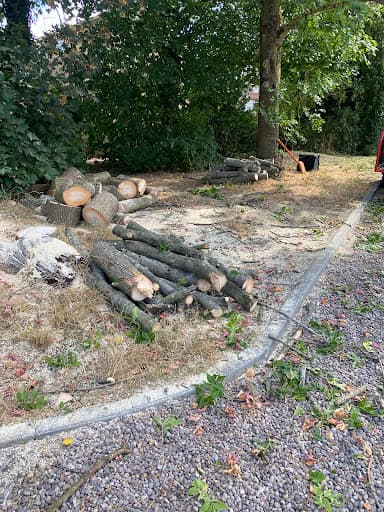 Rogers & Co Tree Services Ltd — Customer photo