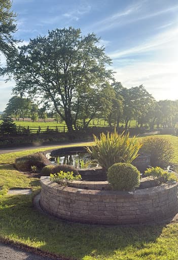 Thorntonhall Lawn Care (TLC) — Customer photo