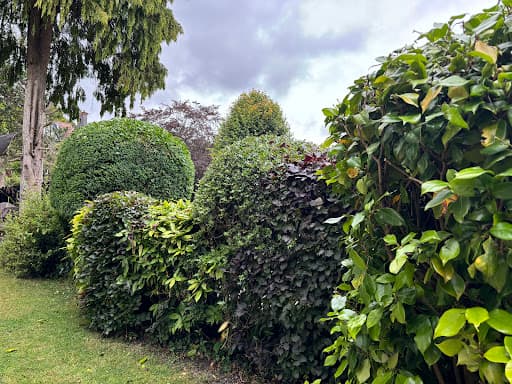 Cantellow Tree Surgery — Customer photo