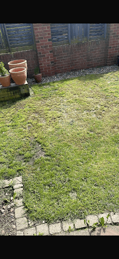 Maxwells Lawn Treatment Services — Customer photo