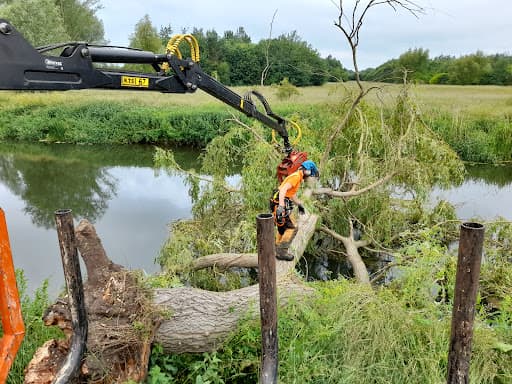 James Rowlett Tree Care - Tree Surgeon — Customer photo