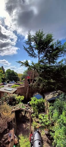 Oxford Tree Surgeons Ltd — Customer photo