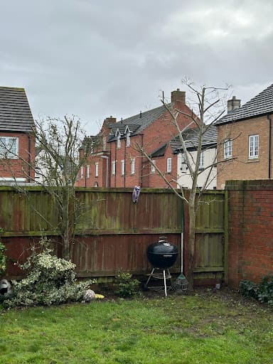 SW Tree Care — Customer photo