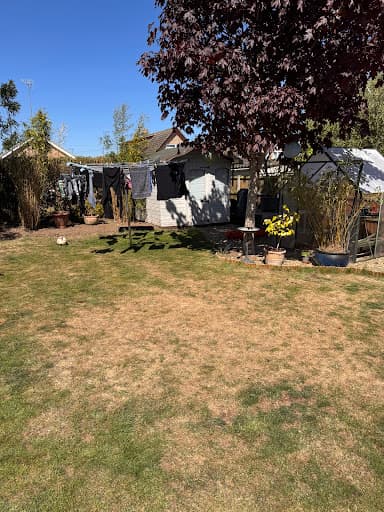 Will's Norfolk Lawns Limited — Customer photo