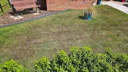 The Lawn Man — Customer photo