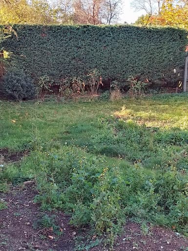 Lloyd Downes Co. Tree Surgery Landscaping & Fencing — Customer photo