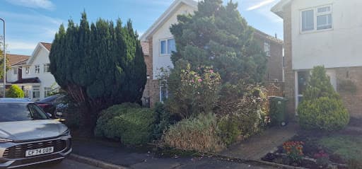 Moruzzi Landscapes Limited — Customer photo