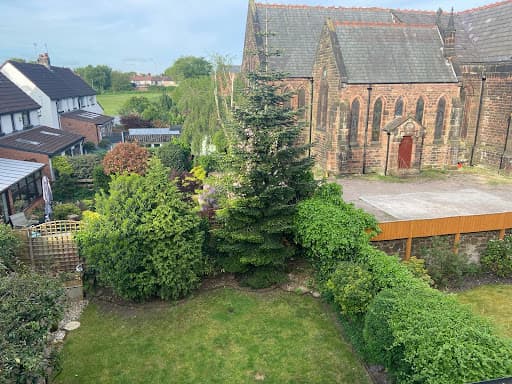 Tree Surgeons Liverpool — Customer photo